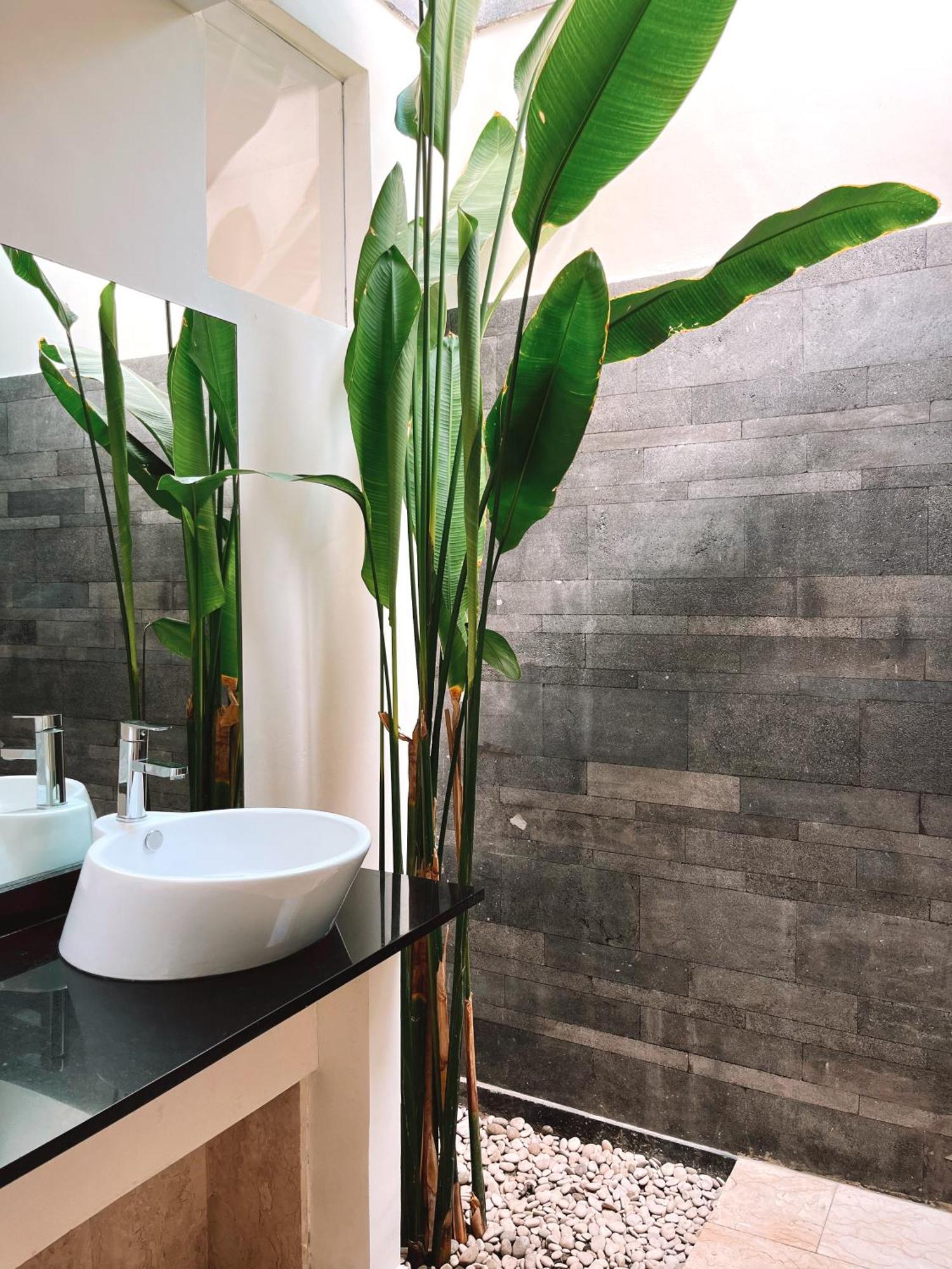 Aster Villa Seminyak Exteriér fotografie